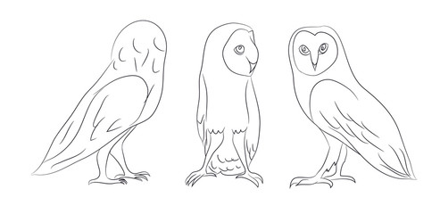 owl stands drawing lines, vector
