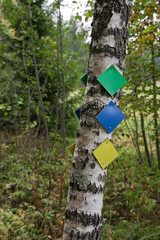 Hiking trail sign or marks on tree in autumn forest.