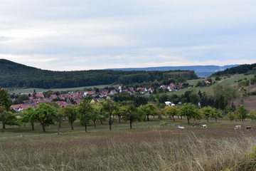 Fototapeta na wymiar Thüringen Landschaft