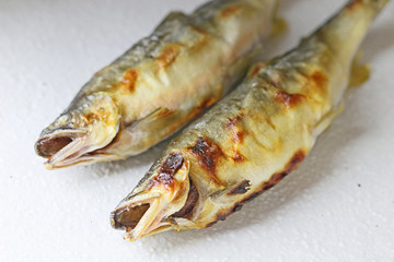 鮎の塩焼き
