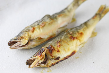 鮎の塩焼き