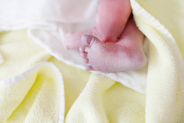Newborn child seconds and minutes after birth. Cute tiny new born baby girl on towel. New life, beginning, healthcare