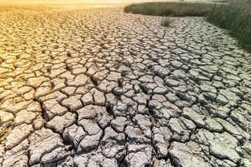 Cracked land, silt at low tide at sea on a sunny day