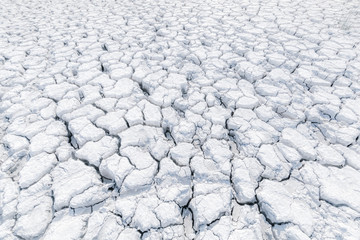 Earth is covered with deep cracks. Tinted white picture