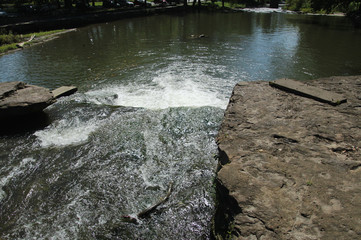 Overlooking the Waterfall