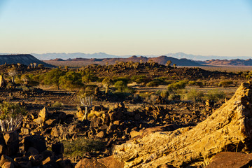 landscape view sunrise namibia africa quivertree rocks sun