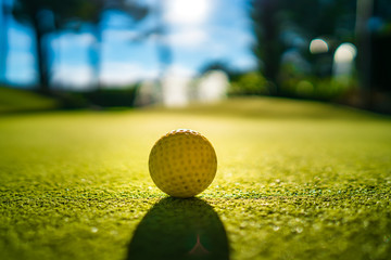 Mini Golf yellow ball on green grass at sunset