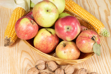 Naklejka na ściany i meble Thanksgiving - ripe corn combs, walnuts and a basket full of ripe apples