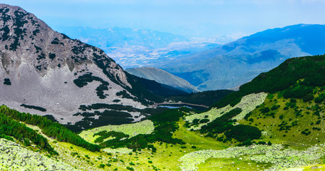 Beautiful green meadows in alpine high mountains, summertime. Amazing fields landscape.