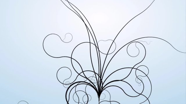 Animated motion graphics pen drawing flowing ornate curly hair lines