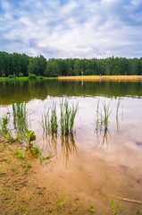 Natural forest lake with artificial sandy beach for free public leisure activities. Moscow residential suburb, Zarya district, Balashikha. Russia.