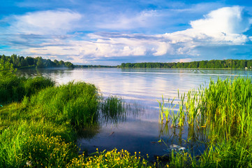 Summer evening landscape on the Lake Biserovo, Moscow region, Russia.