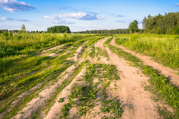 Fototapeta na wymiar Summer countryside landscape. Deserted rural dirt road along the forest, Moscow suburbs, Russia.