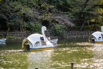 公園のボート