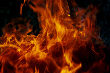 Fototapeta premium Red flames on black background.