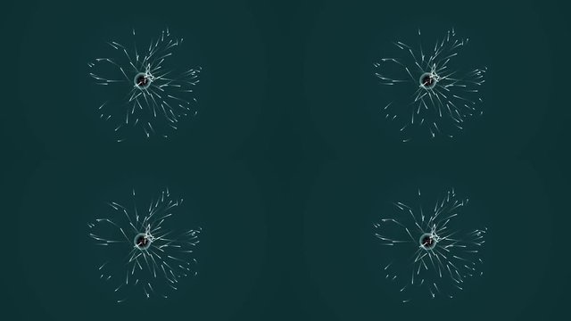 Animated motion graphics atom nucleus electron spinning out valence shell