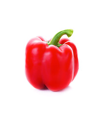rad pepper isolated on a white background