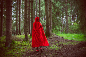  Concept of Halloween. Beautiful and simple costume of little red hood. Mysterious hooded figure in...