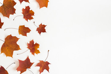 Autumn composition. Frame made of autumn dried leaves on white background. Flat lay, top view, copy space