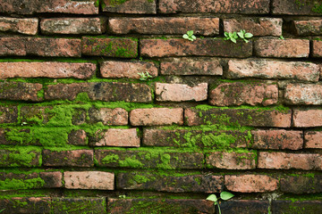Naklejka premium Background pattern of brick wall and green trees