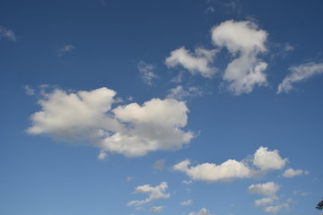 blue sky with lots of white clouds.Many white clouds are independent shapes.