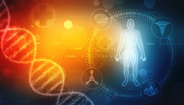 Human Anatomy with Dna Structure in medical background, Chromosome Man, Medical technology background 