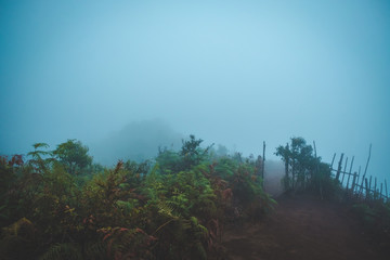 high mountains peaks range clouds in fog scenery landscape national park view outdoor  at Chiang Rai, Chiang Mai Province, Thailand