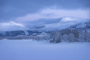 Fototapeta na wymiar Landscape of Norway in winter during blue hour. Norwegian coastline in winter. Mountain covered with snow at the background.