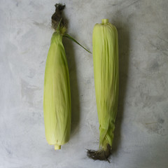 Two cobs of corn on a gray background