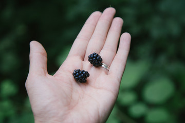 Two Wild Blackberries in a Woman's Palm