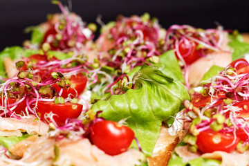 Fresh homemade small sandwiches with sprouts, smoked salmon, bread, lettuce, smoked salmon, coctail tomato, and white cheese on a plate prepared to house party