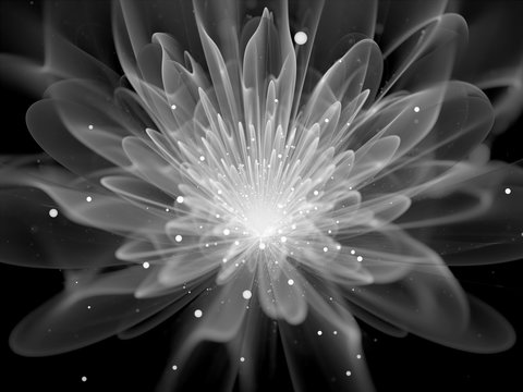 Fototapeta Glowing fractal flower black and white
