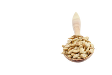 The sun flower seed isolated on a white background.