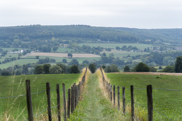 Path to valley