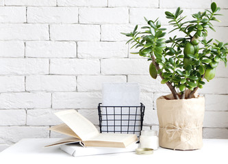 house house plant on the table in the room, books and a candle. decor