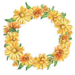 Banner, round frame with orange Calendula officinalis (also known as the field, marigold, ruddles) flower close up. Watercolor hand drawn painting illustration isolated on a white background.
