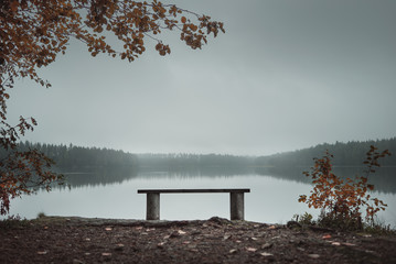 Empty bench in the park near the lake. Autumn theme