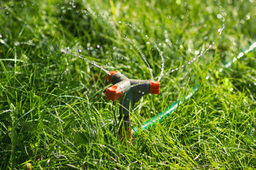 Mechanical water drip irrigation system consumption in garden grass