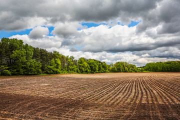 Plowed field in south central Wisconsin
