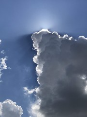 sun shining over white clouds backdrop