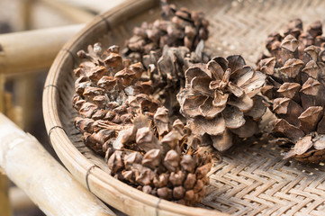 Dried pine cones on wood basket.