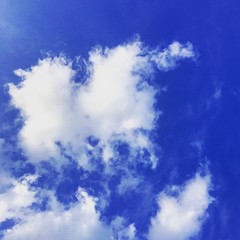 Obraz premium 北海道の見上げた空