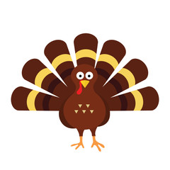 Happy thanksgiving celebration icon. Thanksgiving turkey cartoon. Vector illustration flat design isolated on white background
