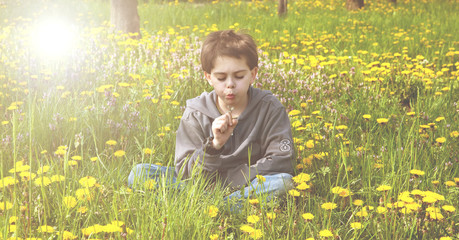 ragazzino seduto nell'erba che soffia su un fiore