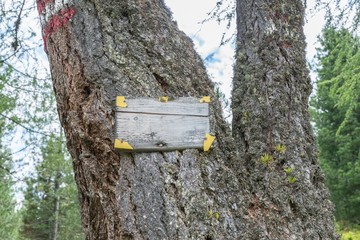 Holzschild ohne Text an einem Baum mit Rot weiß rote Wandermarkierung, Österreich