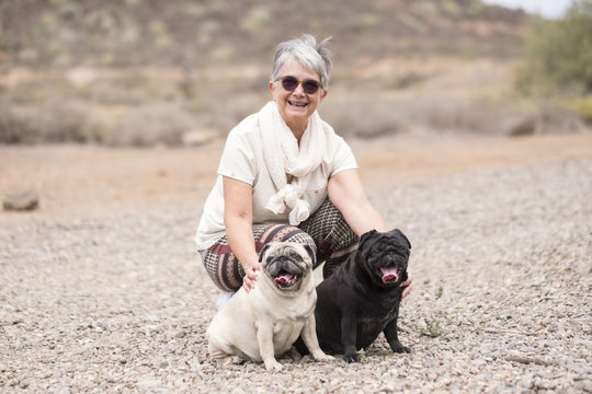 beautiful white hair senior woman caucasian sit down with two nice funny pug diversity races and colors in outdoor leisure activity in the summer