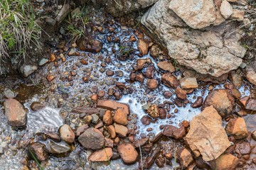 Biofilm durch Ansammlung von Mikroorganismen auf der Wasseroberfläche, Österreich
