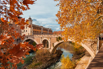 Autumn and foliage in Rome. Red and yellow leaves near Tiber Island with ancient roman bridge, in...