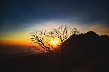 Fototapeta premium Mountain Sunset