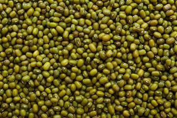 fresh muung beans on a white background